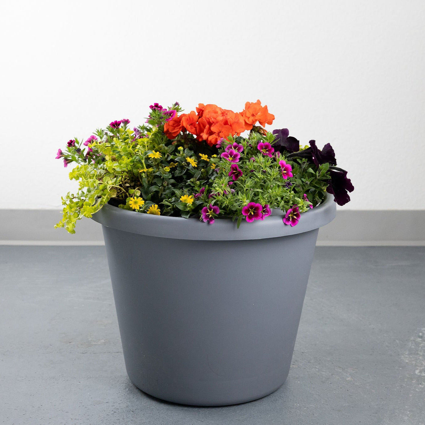 DIY - Patio Pot - Tropical Paradise