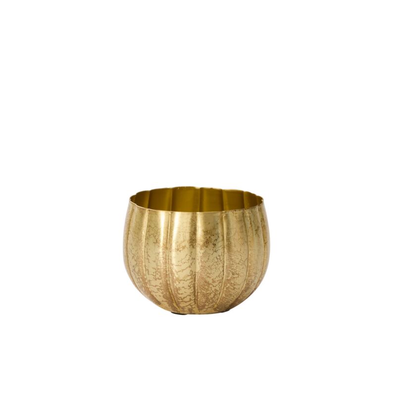 Gold Ravi Pot