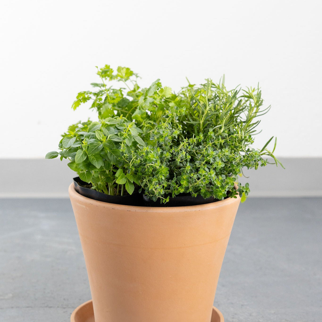 DIY- Traditional Herb Bundle