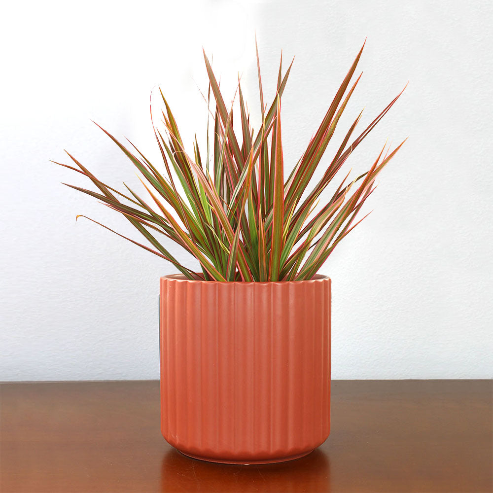 Ceramic 6" Ribbed Pot