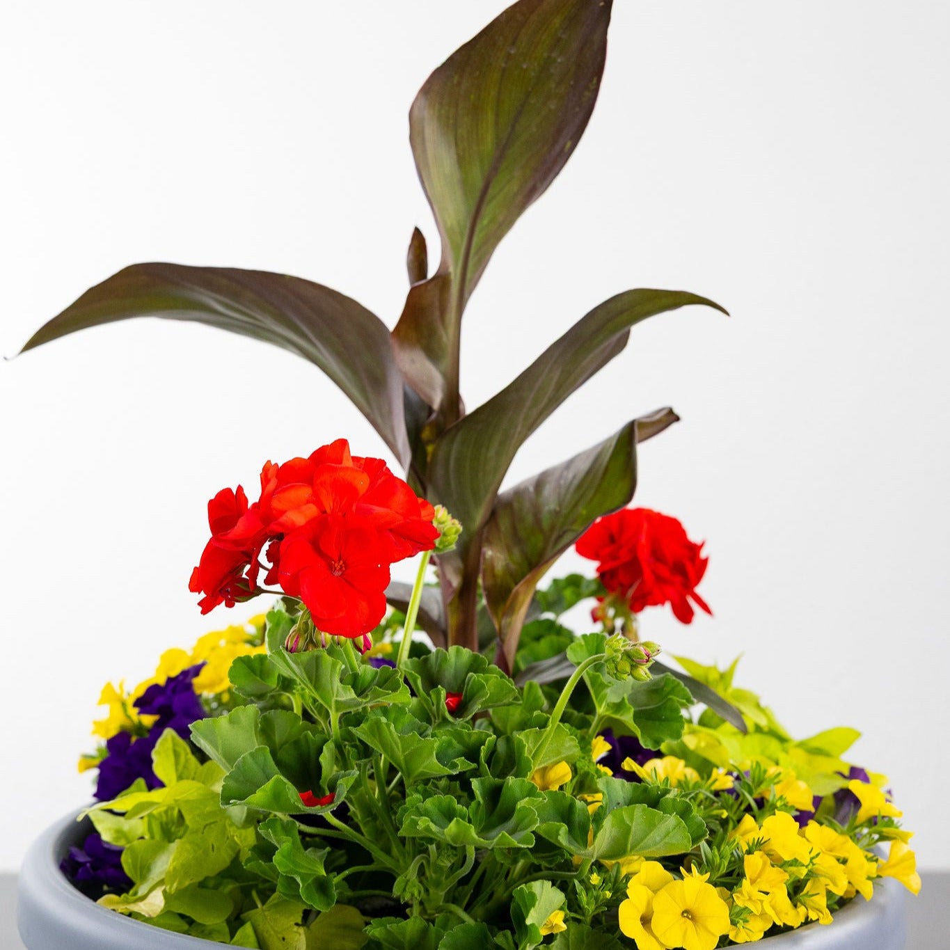 DIY- Patio Pot- Summer Pop