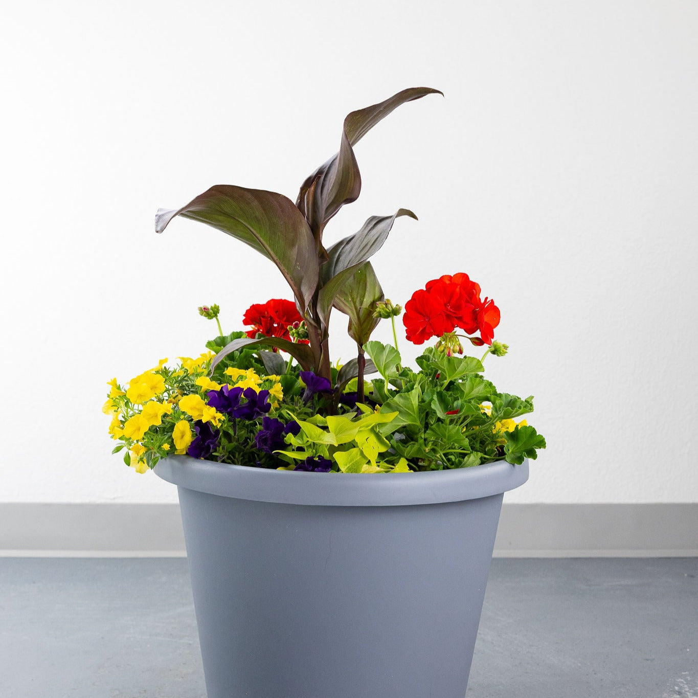 DIY- Patio Pot- Summer Pop
