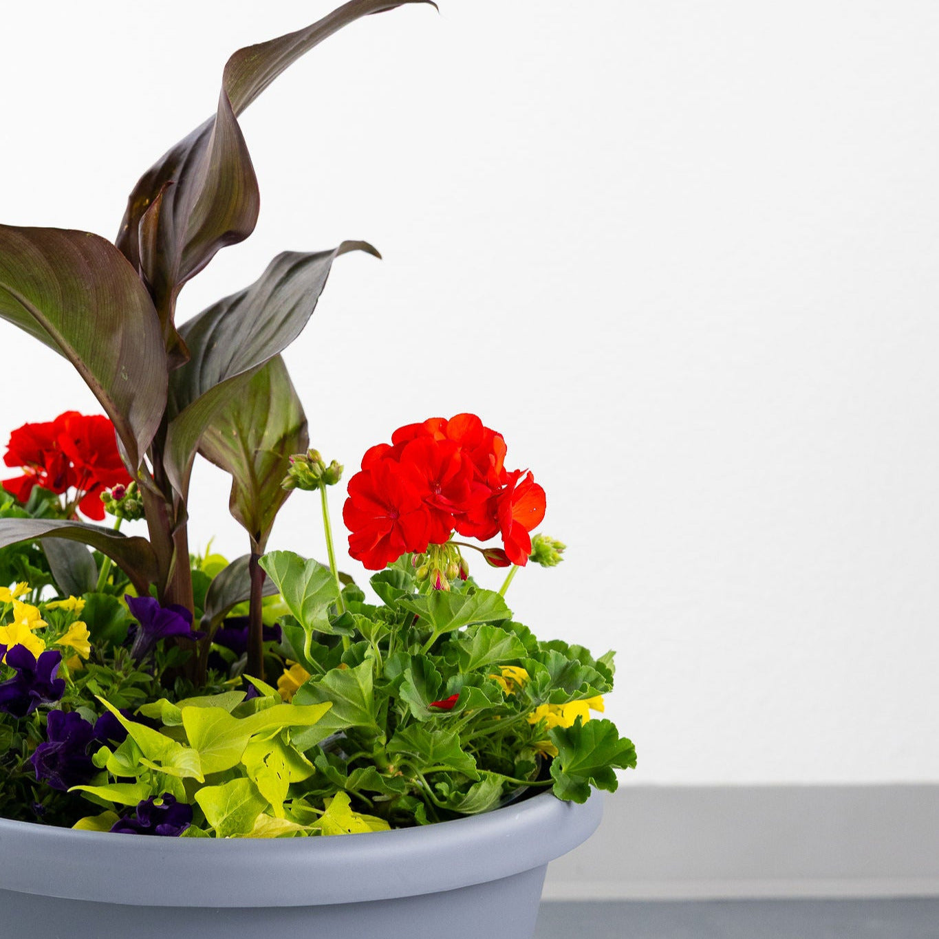 DIY- Patio Pot- Summer Pop