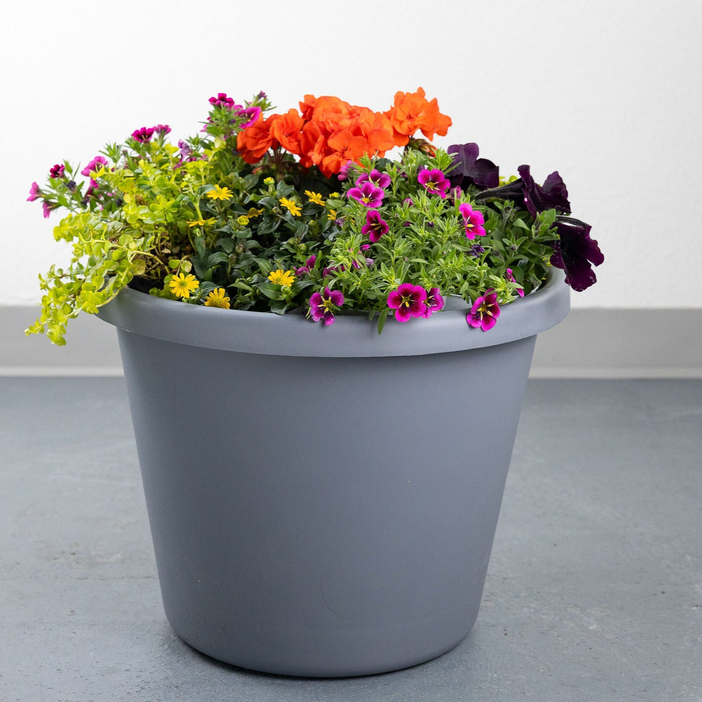 DIY - Patio Pot - Tropical Paradise