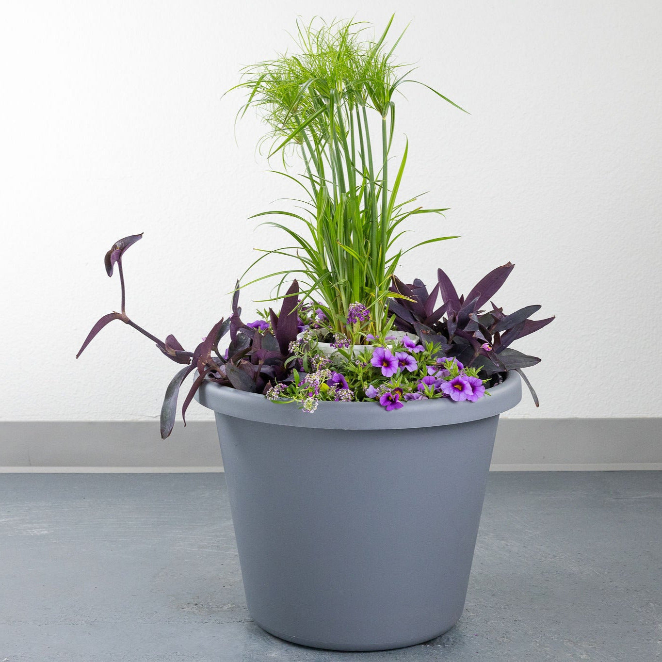 DIY - Patio Pot - Purple Breeze