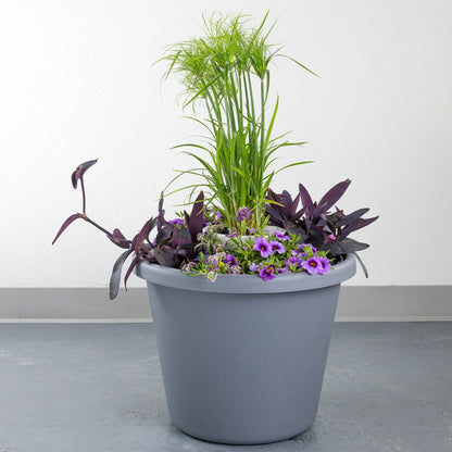 DIY - Patio Pot - Purple Breeze