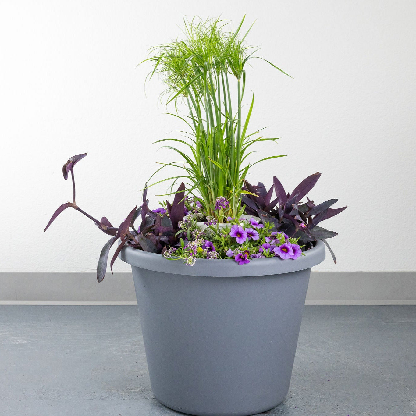 DIY - Patio Pot - Purple Breeze