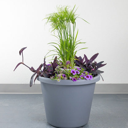 DIY - Patio Pot - Purple Breeze