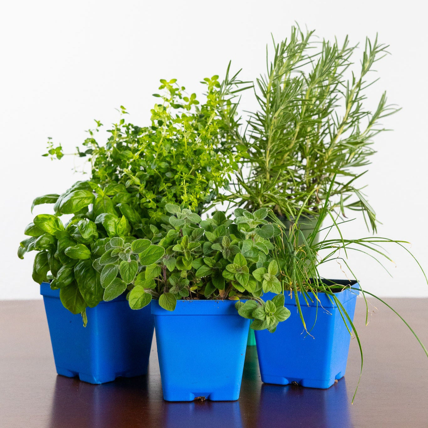 Grilling Herb Garden Kit