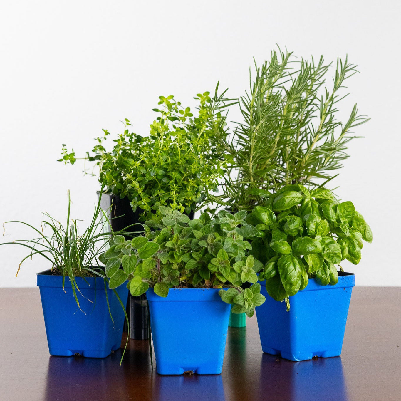 Grilling Herb Garden Kit