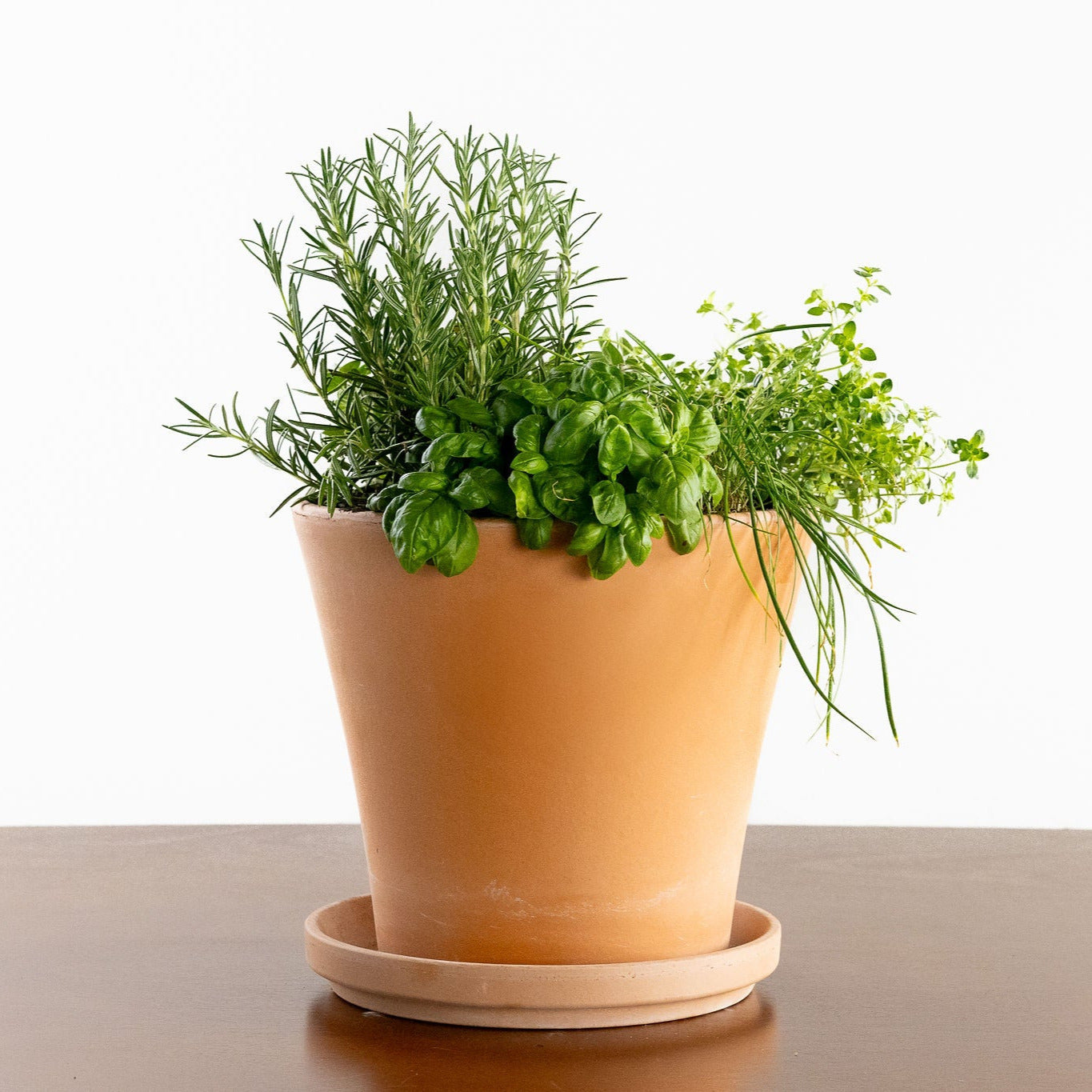 Grilling Herb Garden Kit