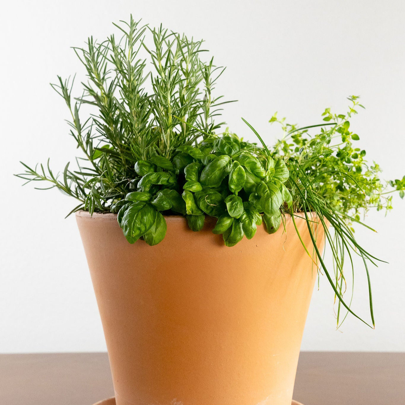 Grilling Herb Garden Kit