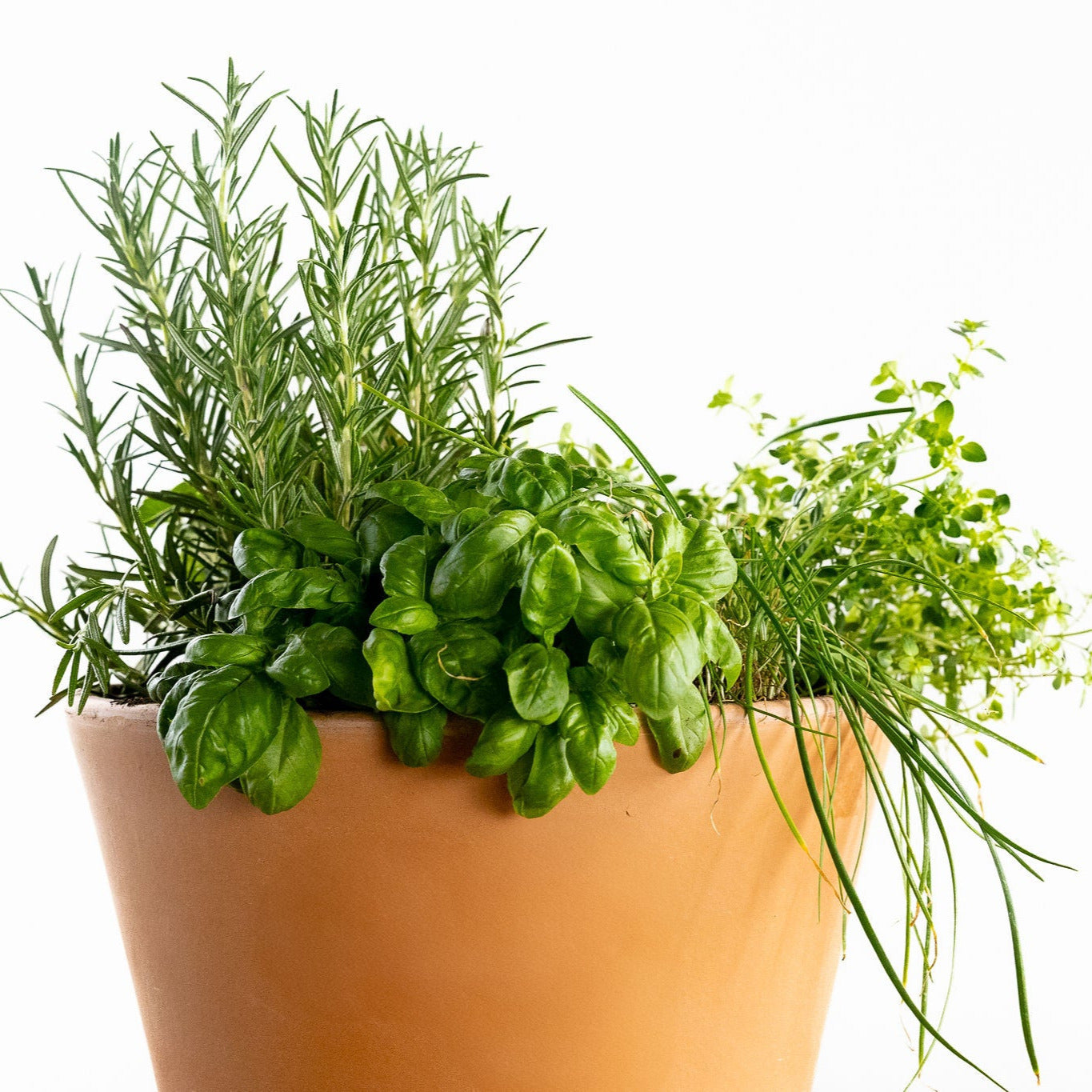 Grilling Herb Garden Kit