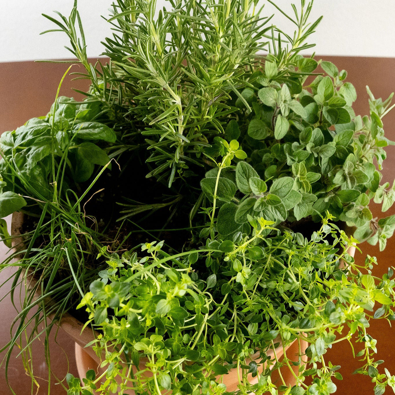 Grilling Herb Garden Kit