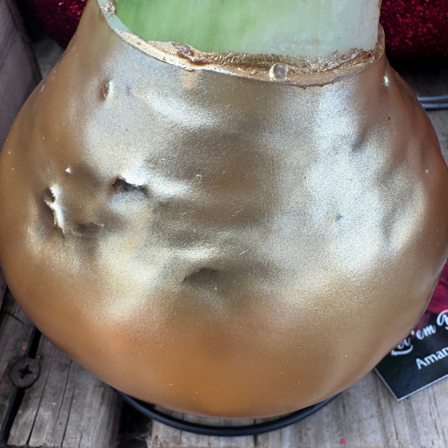 Wax Amaryllis Bulb in Glitter Gift