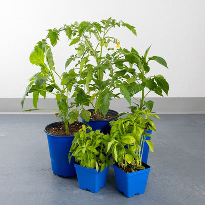 DIY - Italian Garden Bundle
