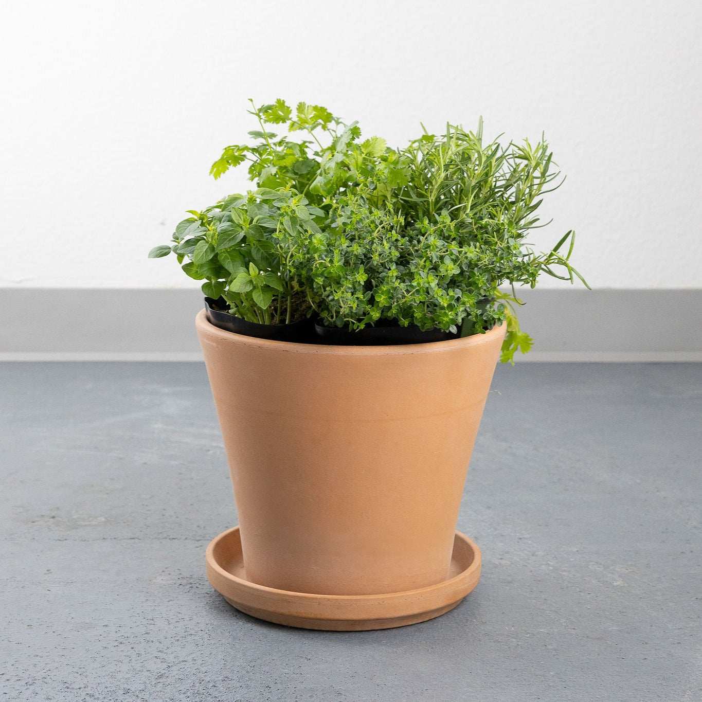 DIY- Traditional Herb Bundle