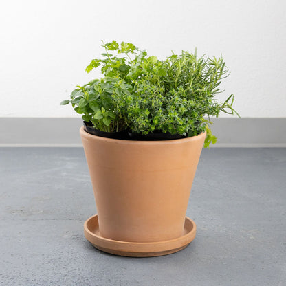 DIY- Traditional Herb Bundle