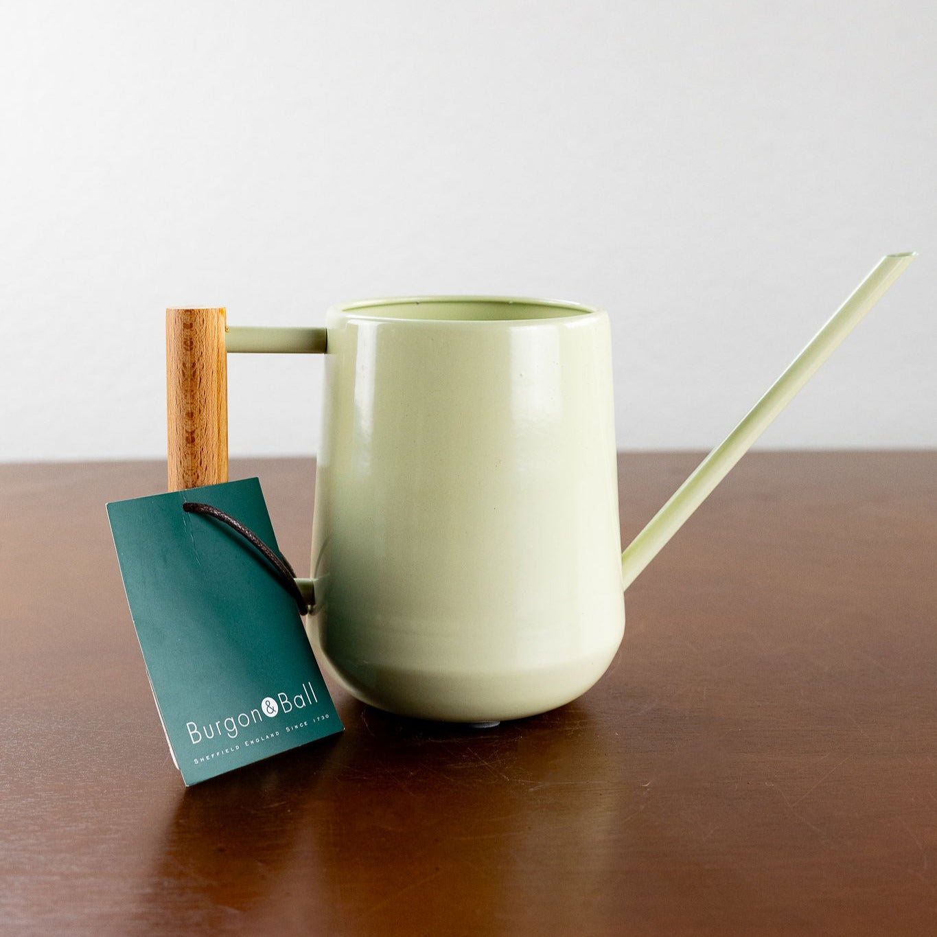 Indoor Watering Can – Green, 0.7L (Alloy Steel)