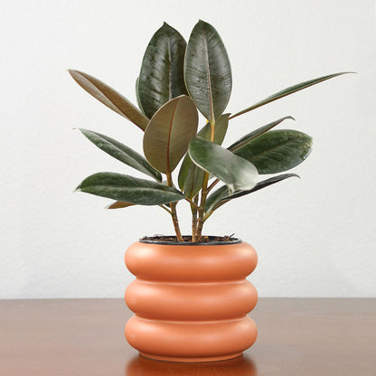 Ceramic Bubble Cache Pot