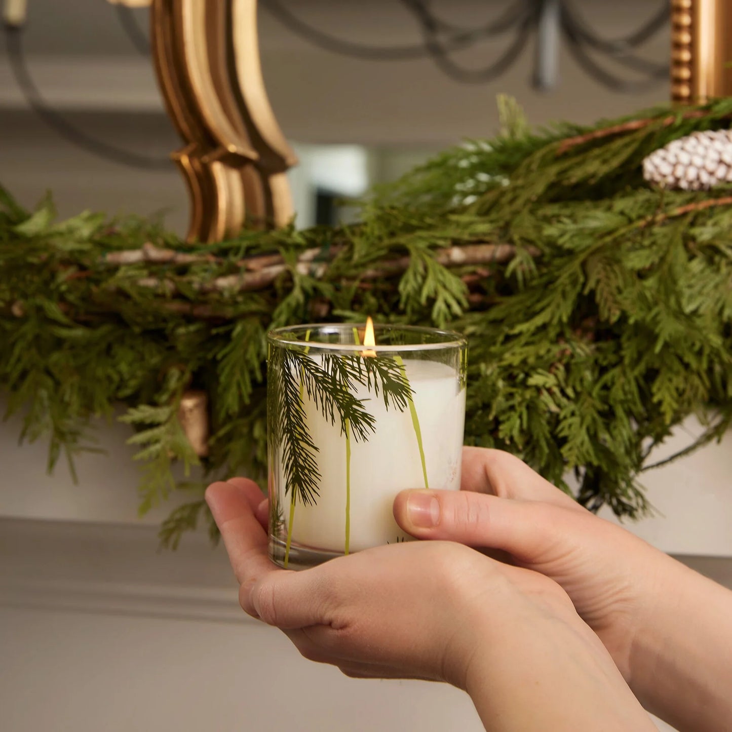 Frasier Fir® Needle Design Candle by Thymes