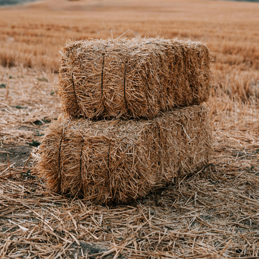 Straw Bale
