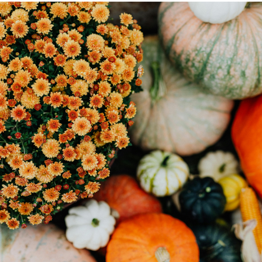 The Autumn Accents Package