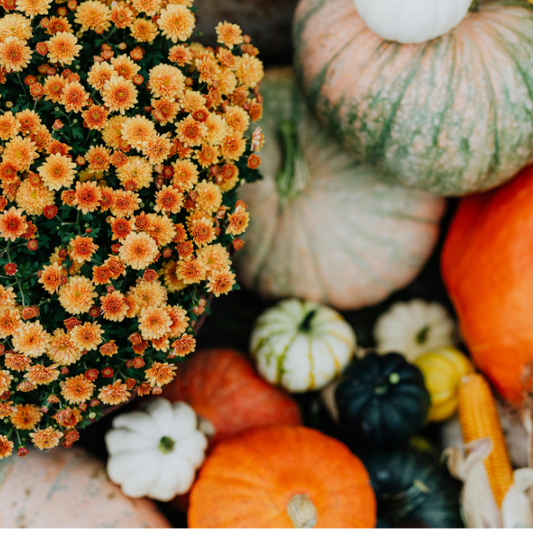 The Cornucopia Package