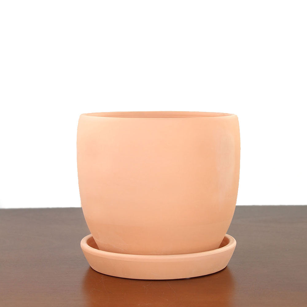 Terracotta Baden Pot with Saucer