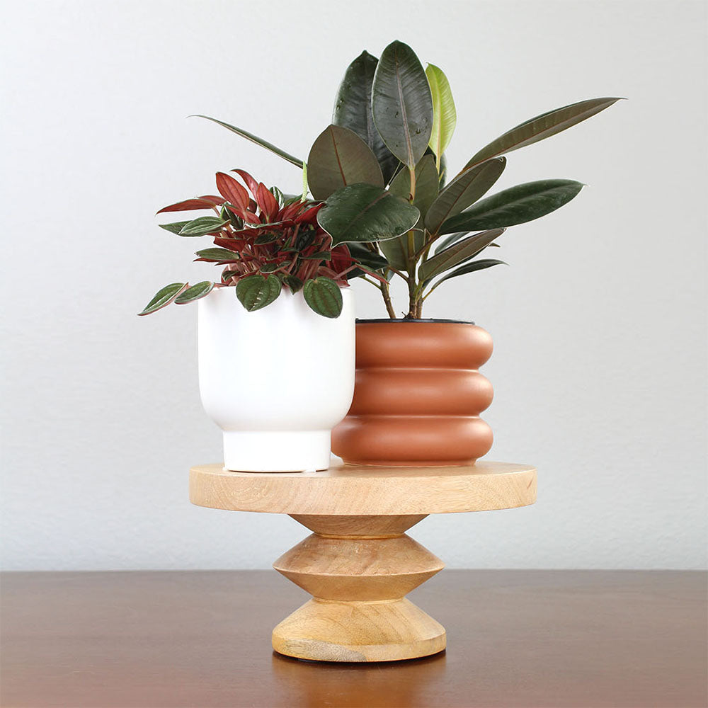 Wood Pedestal Plant Stand